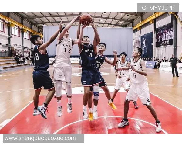 重庆篮球队反击之路解析与未来展望